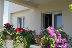 Apartments 255 Apartment 2 – STUDIO foto 1