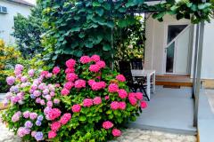 Apartments i Rooms Markovic Apartment 1 – "KRASNO" foto 2