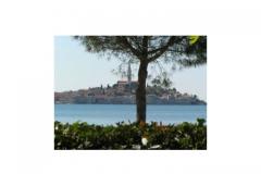 Rovinj Apartment Meerblick Apartment 1 – prizemlje foto 1