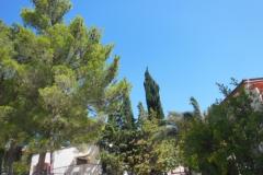 Holidayhome Oleander Apartment 1 foto 1