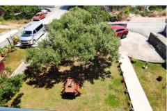 Apartments Villa Magnolija Apartment 3 – apartman 3 foto 4