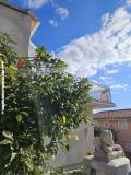 Villa Aura Maris Apartment 1 – Aura Maris foto 5