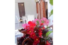Villa Aura Maris Apartment 2 – Anka foto 2