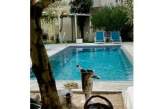 Villa Dube Slano/ villa with pool Apartment 4 – studio foto 1