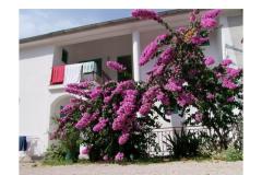 Apartments Ive Room 5 – br5 foto 4