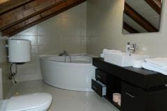 Villa Most Apartment 1 – ap sa baze foto 3