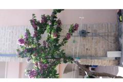 Apartments Šošo Apartment 2 – Apartman 3 foto 4