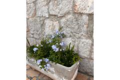 Apartments Tri palme Apartment 2 – apartman 3 foto 4