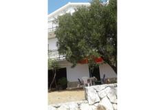 Vacation house Mirjana Apartment 1 – Mirjana foto 4