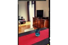 Lu-Do Apartments Apartment 1 – One foto 5