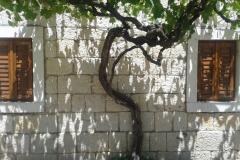 Stara kuća Apartment 1 – Stara kuća foto 2