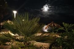 Villa Kairos Room 7 – TR-301 foto 1