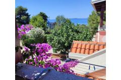 Apartments Delfin Apartment 1 – 1.kat foto 1