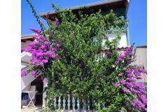 Apartments Delfin Apartment 2 – prizemlje foto 1