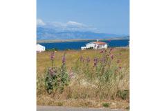 Apartments Mišković Apartment 1 foto 1