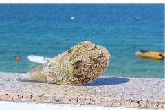 Apartments Por Apartment 2 – Dvosobni foto 2