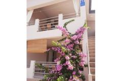 Apartments Maja Apartment 1 – A2 foto 1
