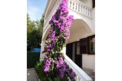 Vila Lana Apartment 1 foto 2