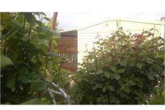 Apartments DANI Apartment 1 – HomeM. M4 foto 5