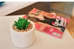 Apartments Zadar House Apartment 4 – Apartment4 foto 5