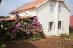 House Branka Apartment 1 – Kuća foto 1