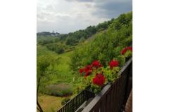 Apartments Potočki Apartment 1 – Apartman 1 foto 1