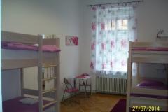 Chameleon hostel Room 2 foto 1