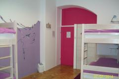 Chameleon hostel Room 2 foto 2