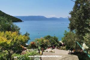 Apartments Maja – Blace