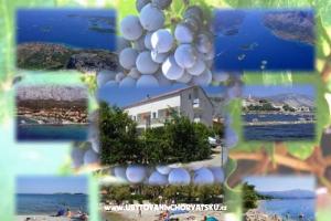 Apartmány Viera – Orebic