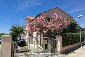 Apartment Mira – Zaton
