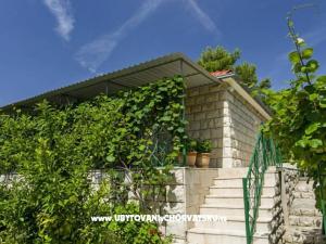 Villa Nikola
