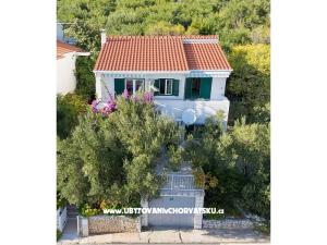 Villa Maslina