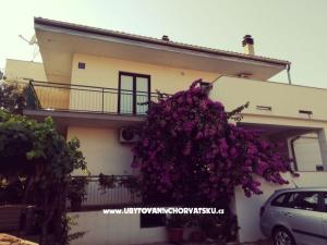 Apartments Danica