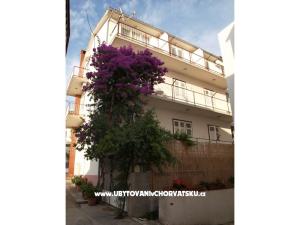 Apartments Zuban