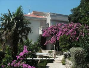 Apartments Sulic-Krvavica