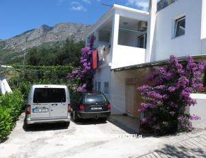 Apartments Delfin