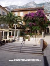 Apartments Potts Point
