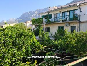 Apartments Vinea