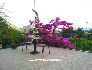 House Biokovo