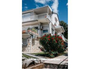 Apartments Ada