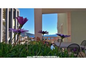 Apartments DaMa