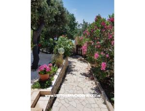 Apartments Milena i Robert