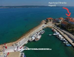 Apartments Branka