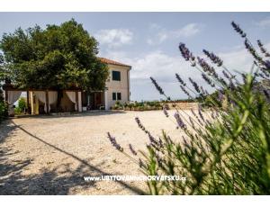 Apartments Andreja