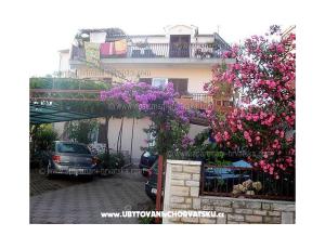 Apartments Ante