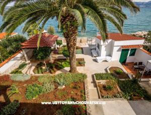 Apartments Antonia