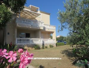 Apartments Cvita