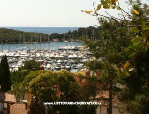 Apartments Rakovac Vrsar