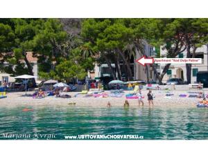 Apartments u dvou palem